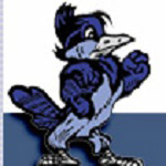 Bluejay